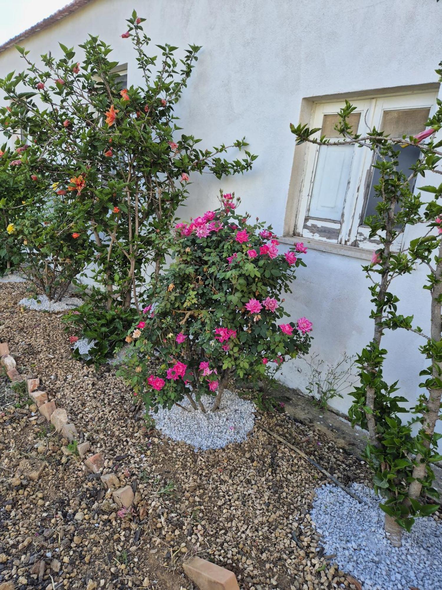 Villa Elvira Country House 벨베데레마리티모 외부 사진